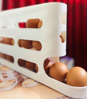 Premium Egg Storage Box