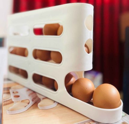 Premium Egg Storage Box